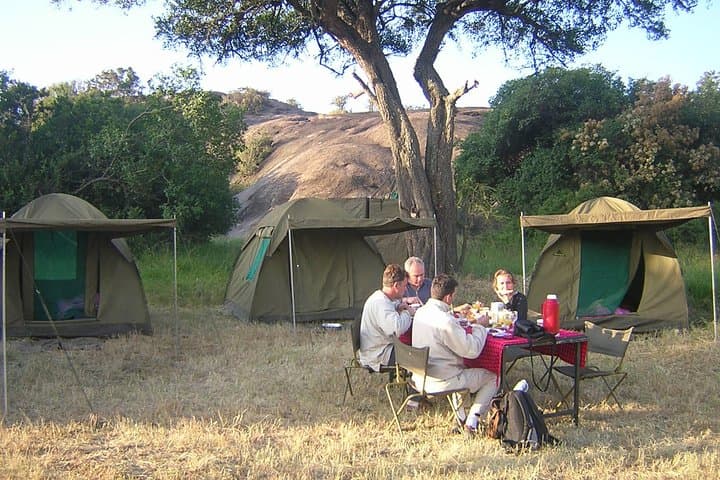 Tarangire & Ngorongoro 2-Day Guided Safari: Camping, Big Five, and Maasai Encounters photo 6