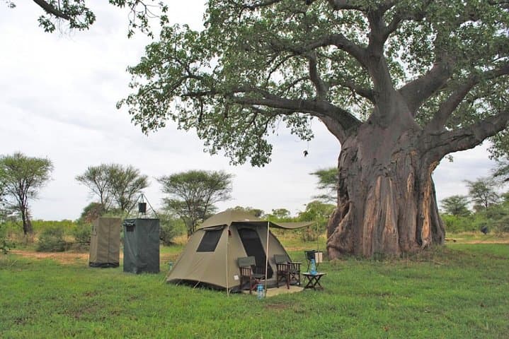 Tarangire & Ngorongoro 2-Day Guided Safari: Camping, Big Five, and Maasai Encounters photo 5