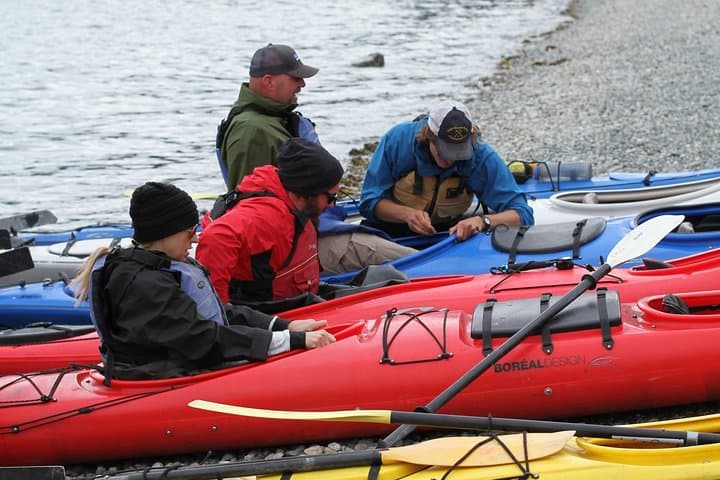 Skagway to Haines: Inside Passage Sea Kayaking Adventure photo 6