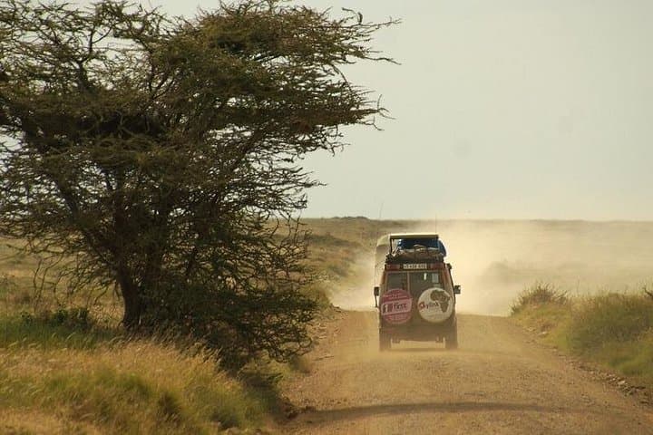 14-Day Rwanda, Tanzania & Kenya Safari — Gorillas, Serengeti & Masai Mara