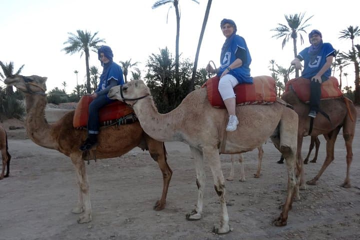 Two-Hour Camel Ride in Marrakech Palmeraie: Palm-Grove Excursion & Village Visit