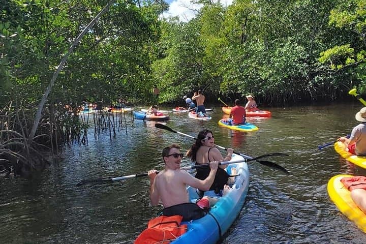 Island City ECO Paddle: Fort Lauderdale Mangrove SUP Lesson at a 9.3-Acre Nature Preserve