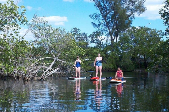 Island City ECO Paddle: Fort Lauderdale Mangrove SUP Lesson at a 9.3-Acre Nature Preserve photo 4