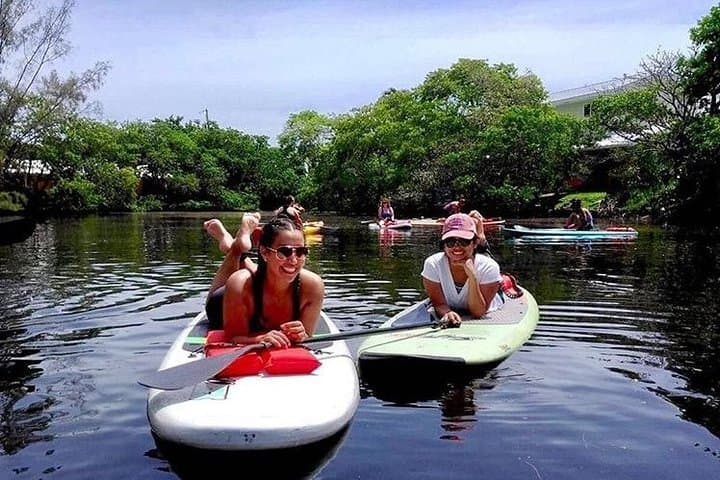 Island City ECO Paddle: Fort Lauderdale Mangrove SUP Lesson at a 9.3-Acre Nature Preserve photo 3