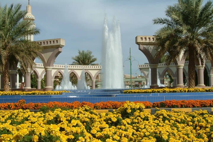 Al Ain Full-Day Private Tour from Dubai — Jebel Hafeet, Oasis & Forts photo 5