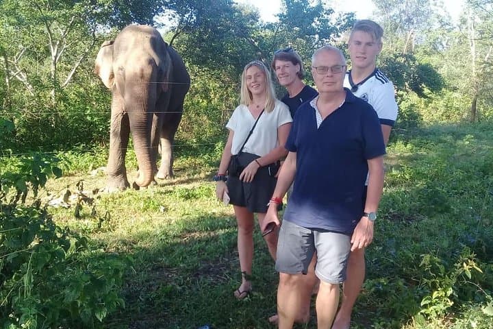 8-Night Magical Sri Lanka: Complete Cultural, Wildlife & Coastal Adventure photo 5