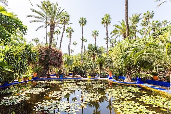 Two-Hour Camel Ride in Marrakech Palmeraie: Palm-Grove Excursion & Village Visit photo 6