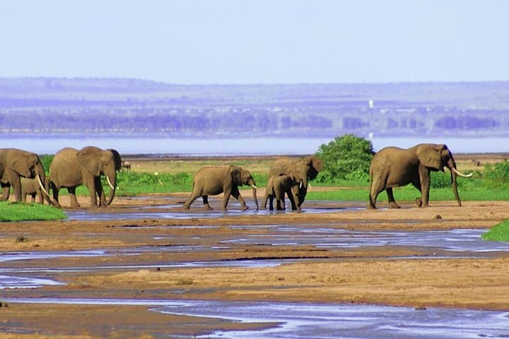 2-Day Tanzania Safari: Tarangire & Ngorongoro Crater Wildlife Weekend photo 4