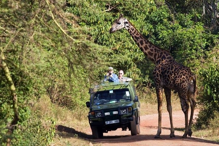 2-Day Tanzania Safari: Tarangire & Ngorongoro Crater Wildlife Weekend photo 1