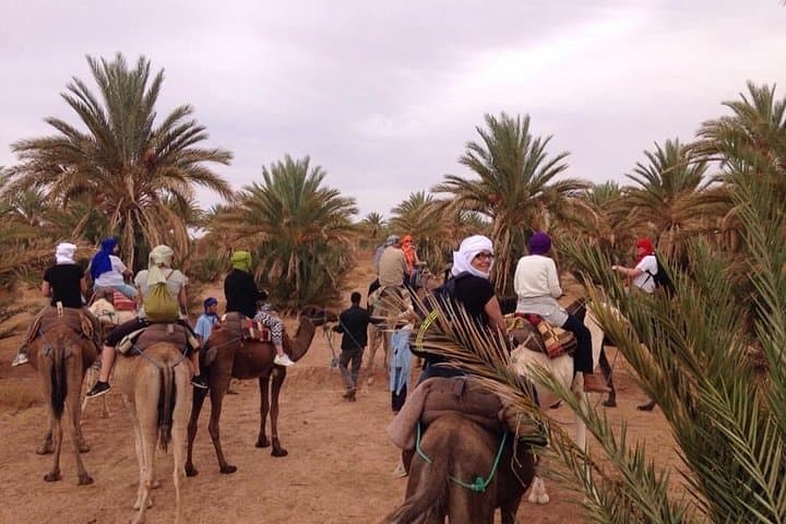2-Day Moroccan Desert Tour: Atlas Mountains, Zagora & Sahara Camp