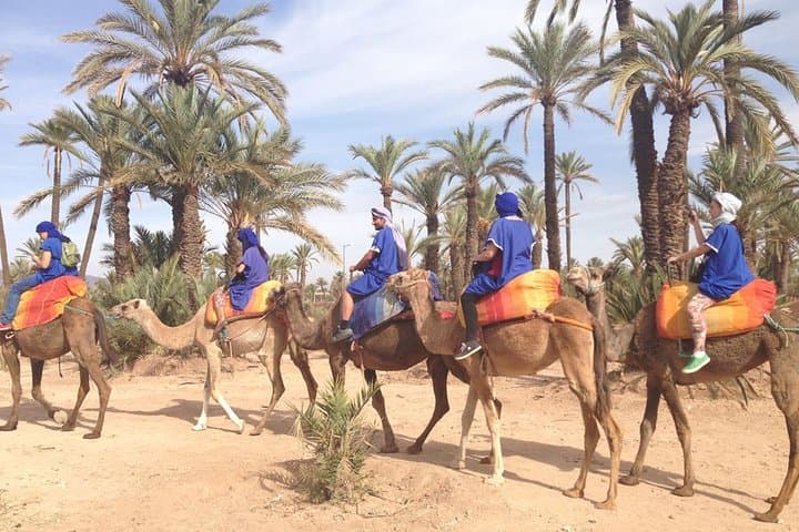 Marrakech Palm Grove Camel Ride & Mint Tea Break at Sunset