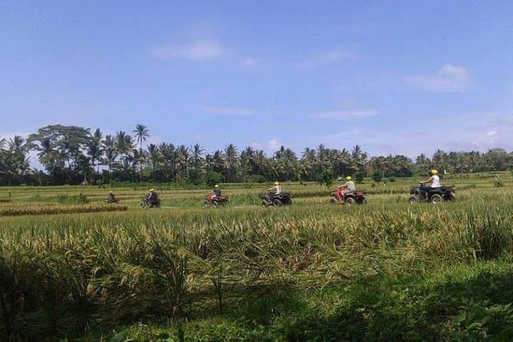Ubud ATV Quad Ride: Rice Fields, Jungle Trails & Riverside Mud Tracks photo 3