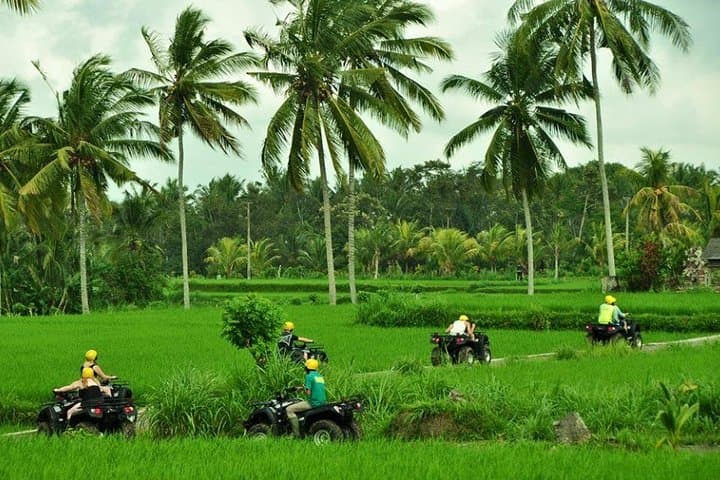 Ubud ATV Quad Ride: Rice Fields, Jungle Trails & Riverside Mud Tracks photo 5