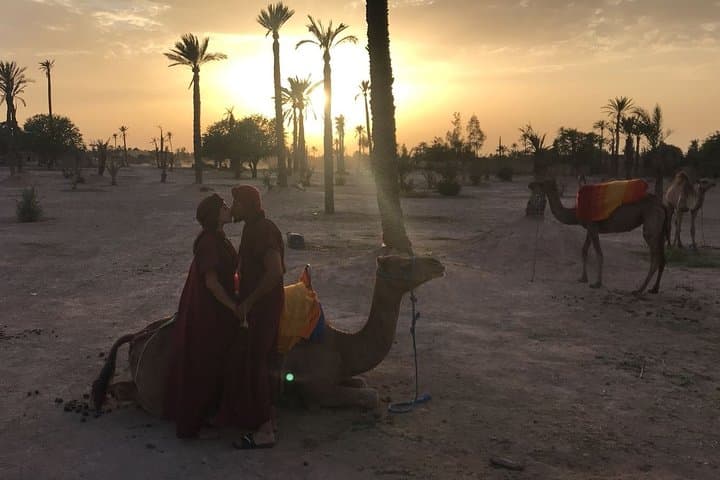 Marrakech Palm Grove Camel Ride & Mint Tea Break at Sunset photo 2