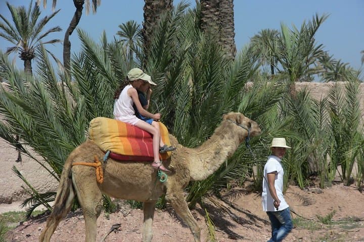 Marrakech Palm Grove Camel Ride & Mint Tea Break at Sunset photo 5