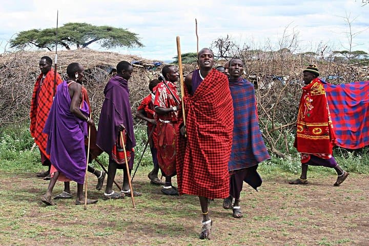2-Day Private Safari: Ngorongoro Crater & Tarangire Elephant Herds