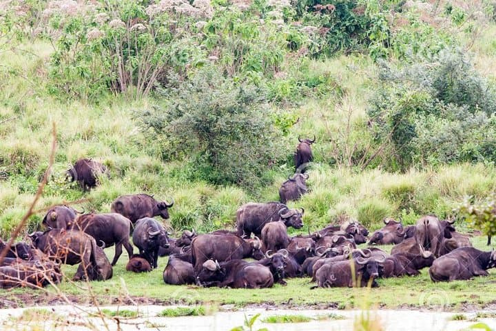 2-Day Ngorongoro & Tarangire Lodge Safari from Arusha photo 4