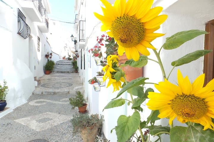 Frigiliana Hike and Wine Tasting: Malaga’s Gorge Trails and Cellar Stops photo 6