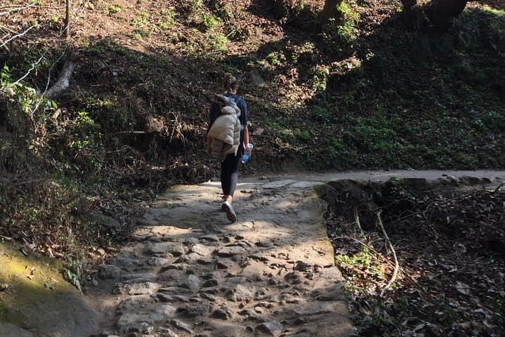 Chisapani to Nagarkot: A 3-Day Ridge Hike from Kathmandu with Sunrise Views