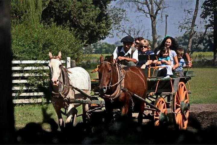 Gaucho Day Tour to Don Silvano Estancia — Traditional Ranch Experience from Buenos Aires photo 2