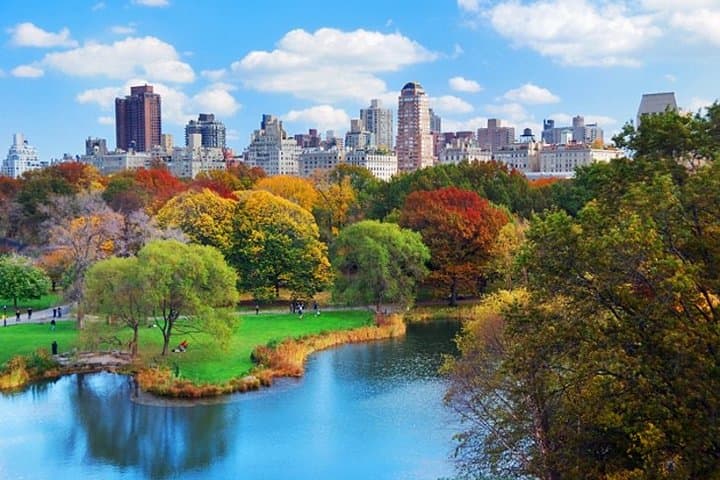 Stroll Central Park: Private Guided Walking Tour through New York's Urban Wild photo 2