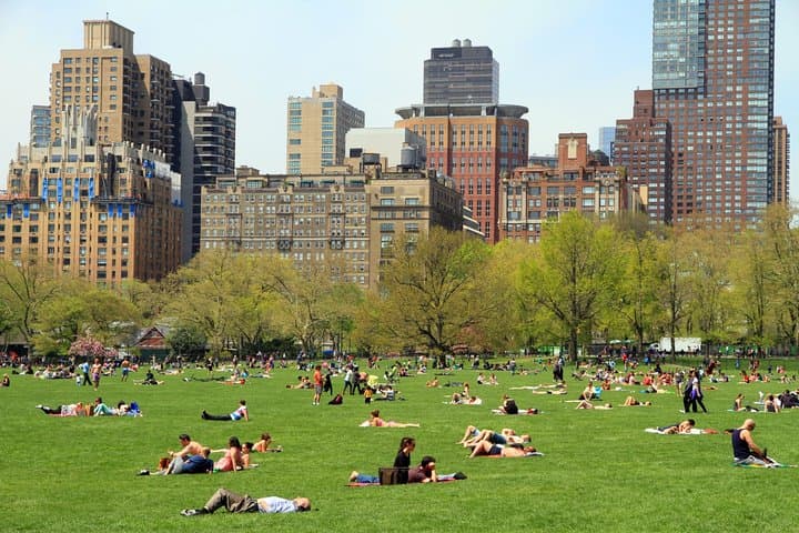 Stroll Central Park: Private Guided Walking Tour through New York's Urban Wild photo 3