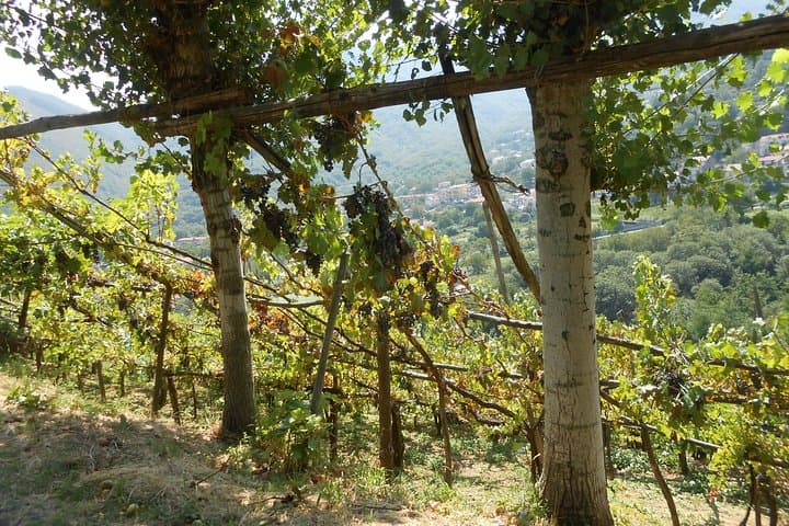 Chiunzi Pass Cycling Loop: Amalfi to Ravello and Back photo 6