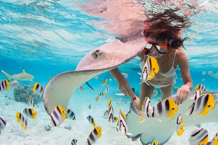 Bora Bora Private Full-Day Aquatic Photo Tour & Resort Photoshoot photo 6