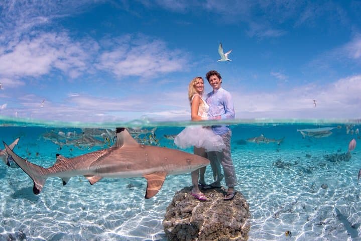 Bora Bora Private Full-Day Aquatic Photo Tour & Resort Photoshoot