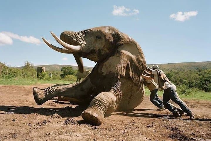 3-Day Lodge Safari: Serengeti & Ngorongoro Crater Itinerary photo 4