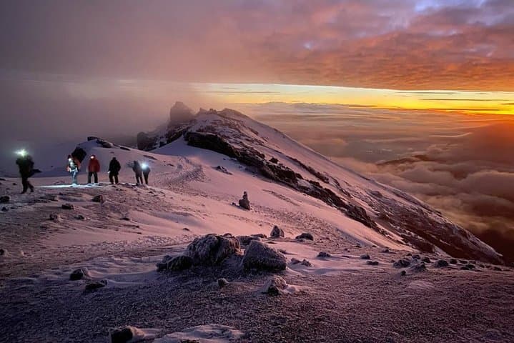 7-Day Rongai Route Kilimanjaro Climb from Moshi