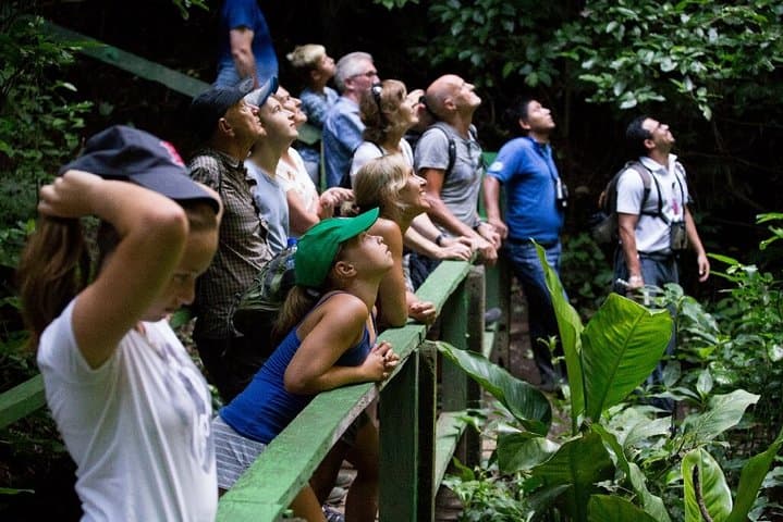El Chocoyero El Brujo Nature Reserve Hike from Managua — Waterfall, Birds & Howler Monkeys photo 2