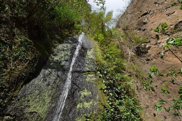 El Chocoyero El Brujo Nature Reserve Hike from Managua — Waterfall, Birds & Howler Monkeys photo 4