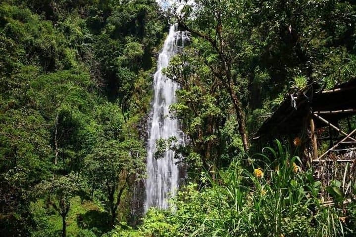 Day Trip to Ndoro Waterfall — Hike the Chagga Trails Outside Moshi