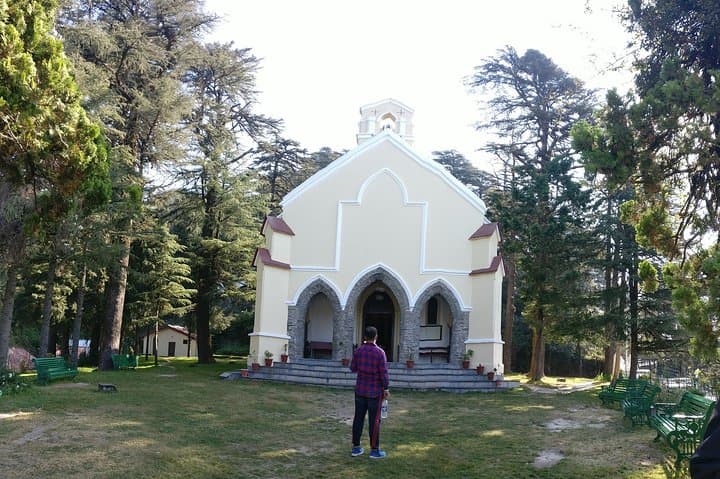 Mussoorie Nature Walk: 2-Hour Guided Trail Through Himalayan Woods photo 4