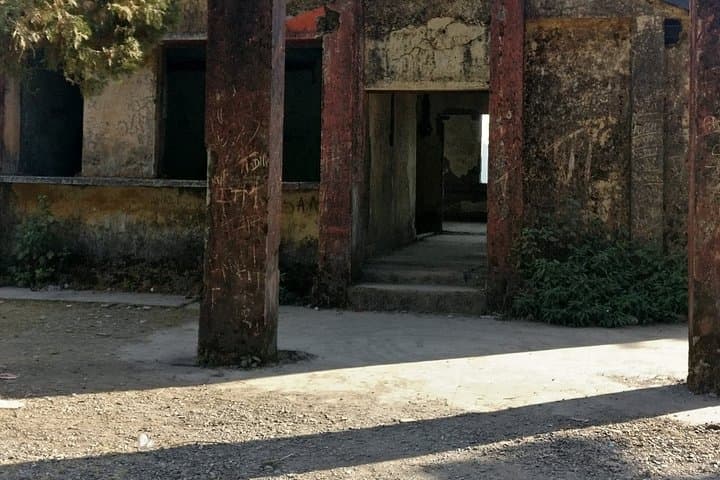 Mussoorie Nature Walk: 2-Hour Guided Trail Through Himalayan Woods photo 5