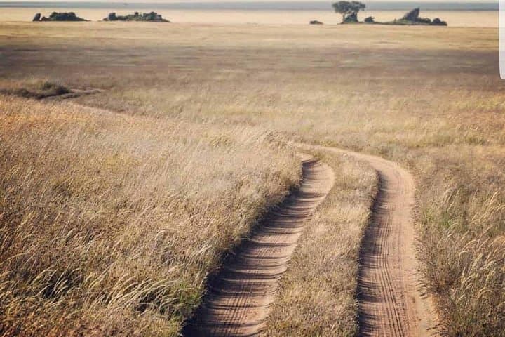 3-Day Private Safari: Serengeti & Ngorongoro Crater from Arusha photo 4
