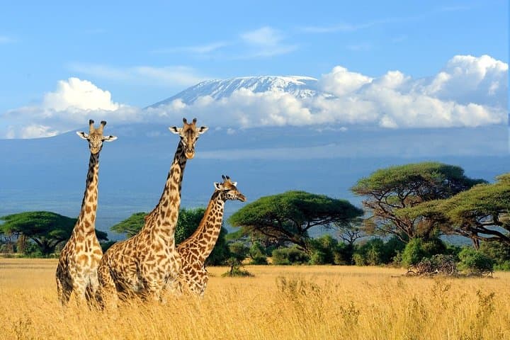 3-Day Safari: Tarangire, Lake Manyara & Ngorongoro Crater photo 4