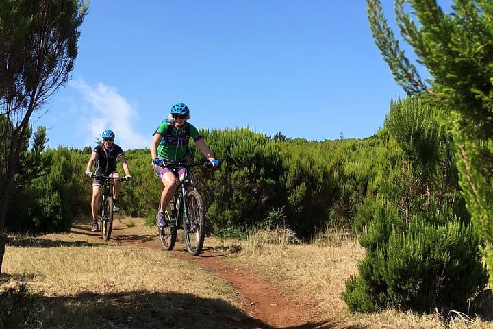 Easy Levada Biking Tour on Madeira’s Levada da Serra — Family-Friendly Ride photo 2