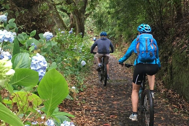 Easy Levada Biking Tour on Madeira’s Levada da Serra — Family-Friendly Ride photo 3