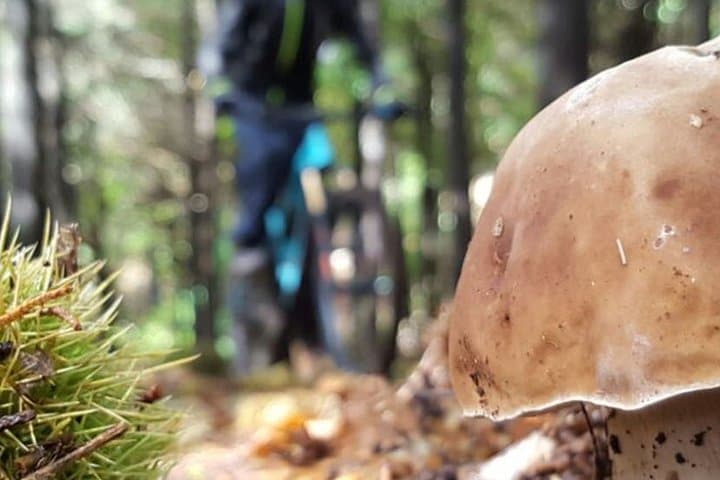 Madeira Mountain Biking: Poiso-to-Camacha Levada Trail (25K) photo 2