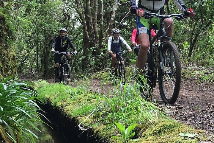 Madeira Mountain Biking: Poiso-to-Camacha Levada Trail (25K)