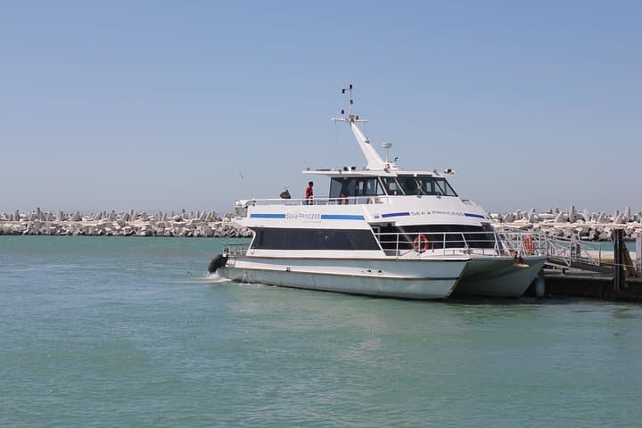 Cape Town in 3 Days: Robben Island, Table Mountain & Peninsula Private Tour photo 2