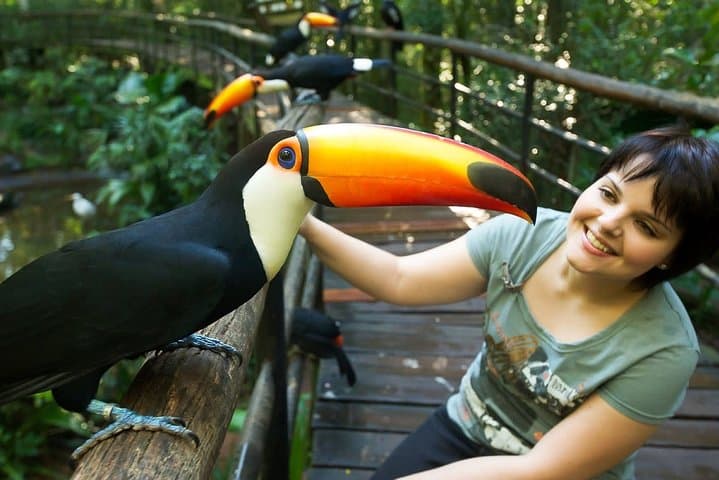Brazilian Falls and Parque das Aves Tour — Foz do Iguaçu Day Trip photo 1