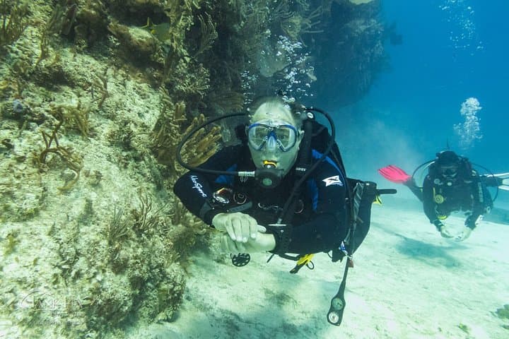Half-Day Playa del Carmen Scuba: Small-Group Reef Dives photo 5