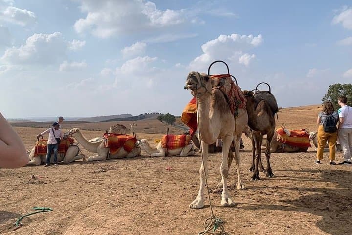 Agafay Desert Day Pass from Marrakech — Camel Ride, Pool & Traditional Lunch