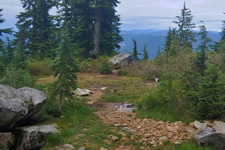 Private Nature Tour & Guided Hike from Seattle — Full-Day Custom Trails