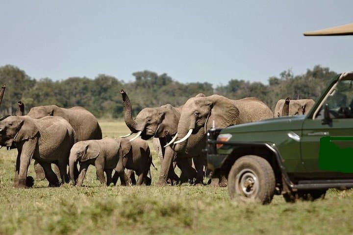 8-Day Best of Kenya Wildlife Safari on 4x4 Land Cruiser — Ol Pejeta to Masai Mara photo 2