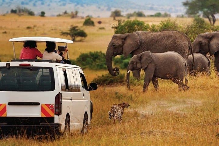 8-Day Best of Kenya Wildlife Safari on 4x4 Land Cruiser — Ol Pejeta to Masai Mara photo 4