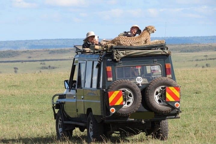 8-Day Best of Kenya Wildlife Safari on 4x4 Land Cruiser — Ol Pejeta to Masai Mara photo 5